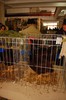 expo_acpara_duminica_2013_ (45)