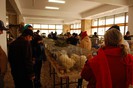 expo_acpara_duminica_2013_ (54)
