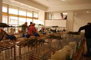 expo_acpara_duminica_2013_ (64)