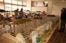 expo_acpara_duminica_2013_ (65)
