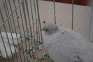 expo_acpara_duminica_2013_ (156)