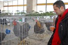 expo_acpara_duminica_2013_ (171)