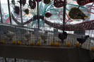 expo_acpara_duminica_2013_ (182)