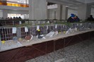 expo_acpara_duminica_2013_ (192)