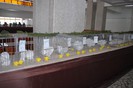 expo_acpara_duminica_2013_ (193)