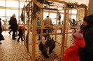 expo_acpara_duminica_2013_ (208)