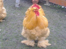 270120131829