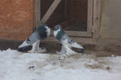 SAM_0372