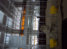 DSC03298