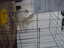 DSC03330