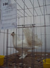 DSC03331