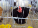DSC03340