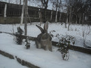 SAM_4175