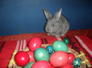 SAM_4827