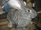 SAM_5322