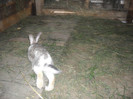 SAM_5498