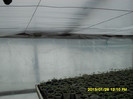 SDC12544