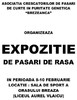 EXPOZITIE BREAZA