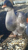 2012-10-31_08-49-56_445