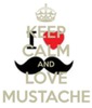 keep-calm-and-love-mustache-398