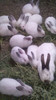 2012-10-19_10-53-50_334
