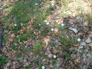 DSC06715