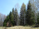 DSC06720