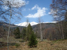 DSC06721
