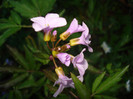 DSC08684