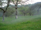 DSC08726