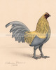 Bantam Lemon Blue Old English Games