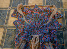 DSCN6239