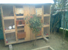 Foto0105