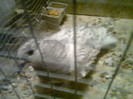 Foto0086