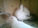 Foto0088