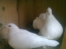 Foto0089