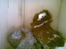 Foto0091