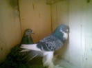 Foto0093