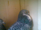 Foto0095