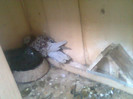 Foto0101
