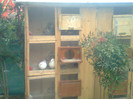 Foto0102