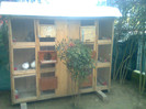 Foto0103