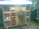 Foto0104
