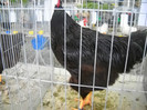 DSCN1570