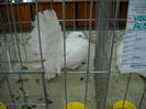 DSCN1589