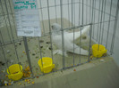 DSCN1595