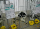 DSCN1600