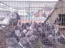 IMG00192