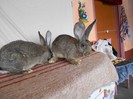 DSCN1408