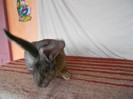 DSCN1456
